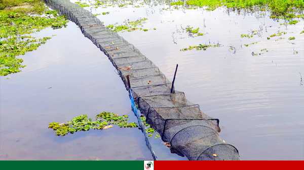 সয়লাভ নিষিদ্ধ চায়না দুয়ারি, সংকটে চলনবিলের দেশি মাছ