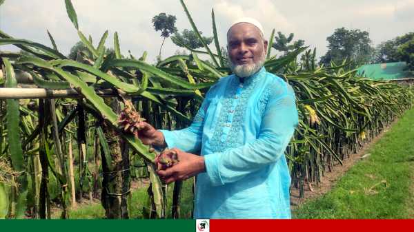 ড্রাগন চাষে সফল খোরশেদ আলম